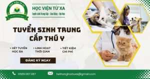 Tuyển sinh Trung cấp Thú Y