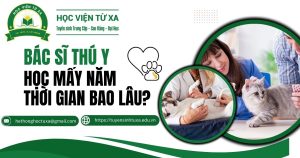 Bác sĩ thú y học mấy năm thời gian bao lâu