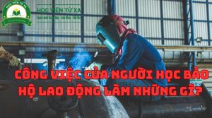 Công Việc Của Người Học Bảo Hộ Lao Động làm những gì?