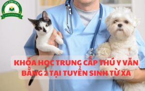 Khóa học trung cấp thú y tại tuyển sinh từ xa