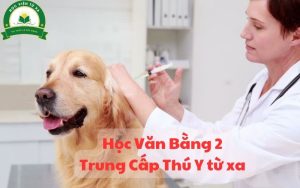 Học Văn Bằng 2 Trung Cấp Thú Y Từ Xa