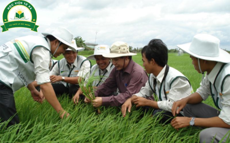 Tầm quan trọng của Trung Cấp ngành Bảo Vệ Thực Vật