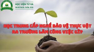 Học Trung Cấp Nghề Bảo Vệ Thực Vật ra trường làm công việc gì?