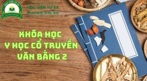 Khóa Học Y Học Cổ Truyền Văn Bằng 2