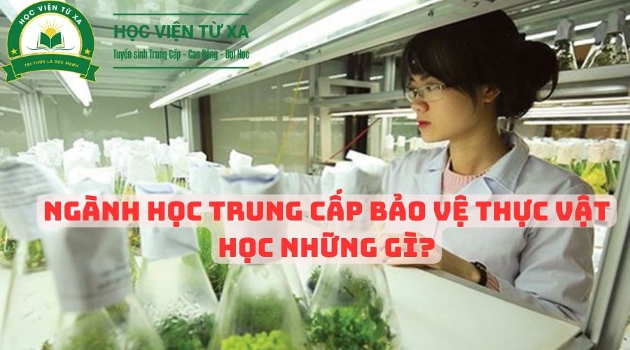 Ngành Học Trung Cấp Bảo Vệ Thực Vật học những gì?