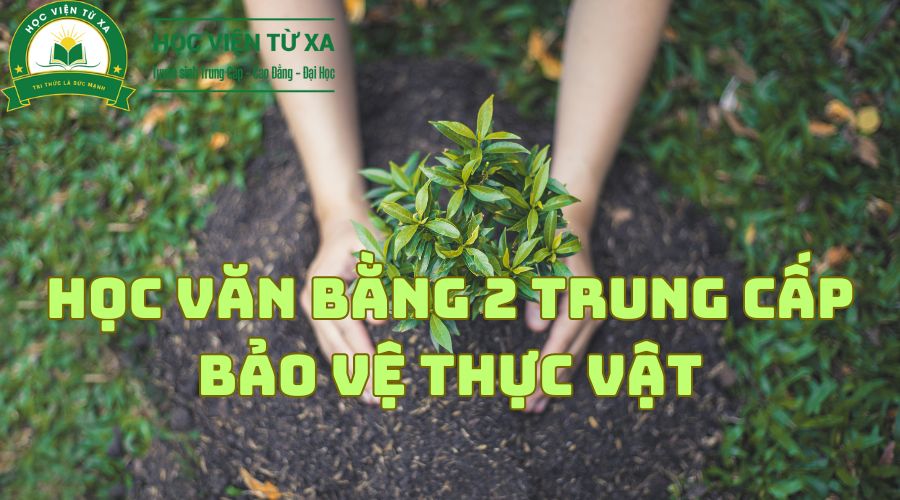 Học Văn Bằng 2 Trung Cấp Bảo Vệ Thực Vật