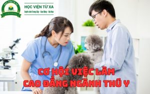 Việc Làm Cao Đẳng Ngành Thú Y sau khi ra trường