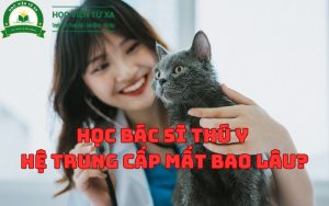 Học Bác Sĩ Thú Y Hệ Trung Cấp mất bao lâu?