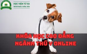 Khai Giảng Khóa Học Cao Đẳng Ngành Thú Y Online