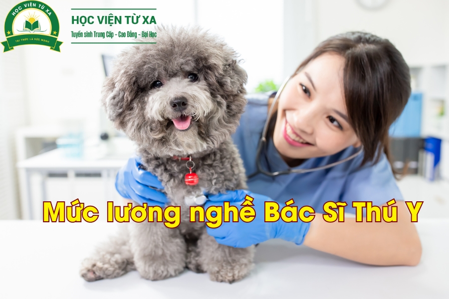 Mức lương nghề Bác Sĩ Thú Y