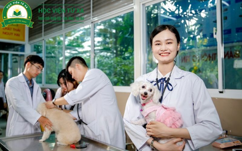 Thông báo xét tuyển Khóa Học Cao Đẳng Ngành Thú Y