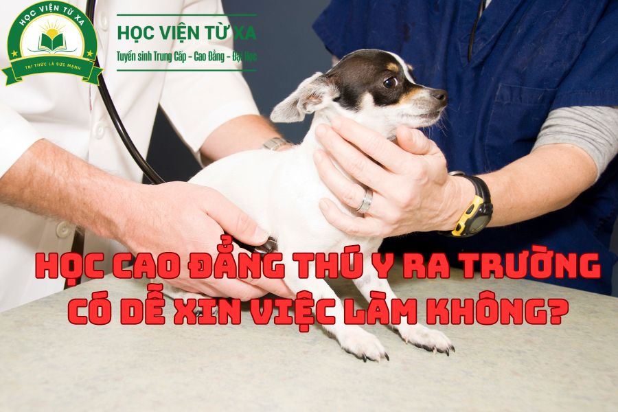 Học Cao Đẳng Thú Y ra trường có dễ xin việc làm không?