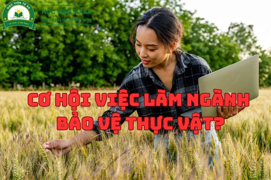 Cơ Hội Việc Làm Ngành Bảo Vệ Thực Vật?