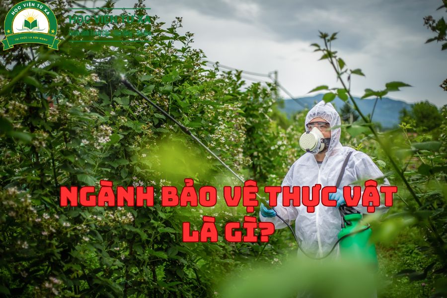 Ngành Bảo Vệ Thực Vật Là Gì? Ngành Bảo Vệ Thực Vật ra trường làm gì?