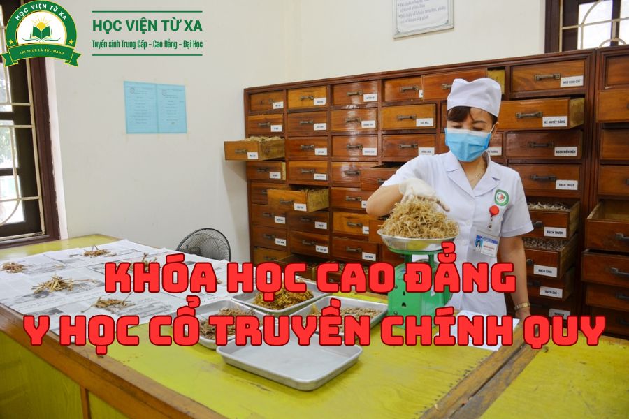 Khóa Học Cao Đẳng Y Học Cổ Truyền Chính Quy