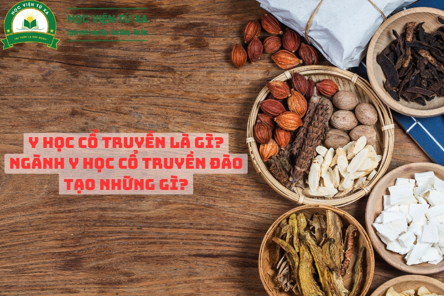 Y Học Cổ Truyền Là Gì? Ngành Y Học Cổ Truyền Đào Tạo Những Gì?