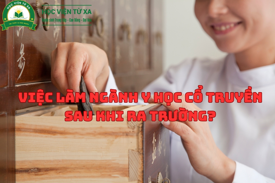 Việc Làm Ngành Y Học Cổ Truyền sau khi ra trường?