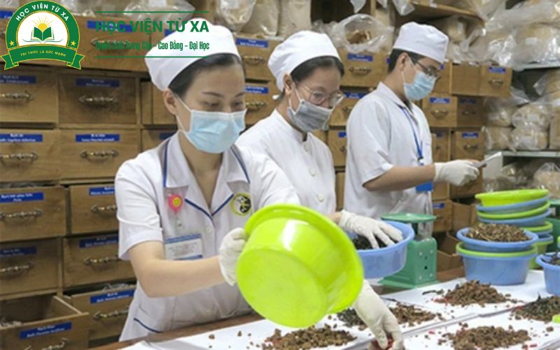 Thông báo xét tuyển Khóa Học Cao Đẳng Y Học Cổ Truyền Chính Quy