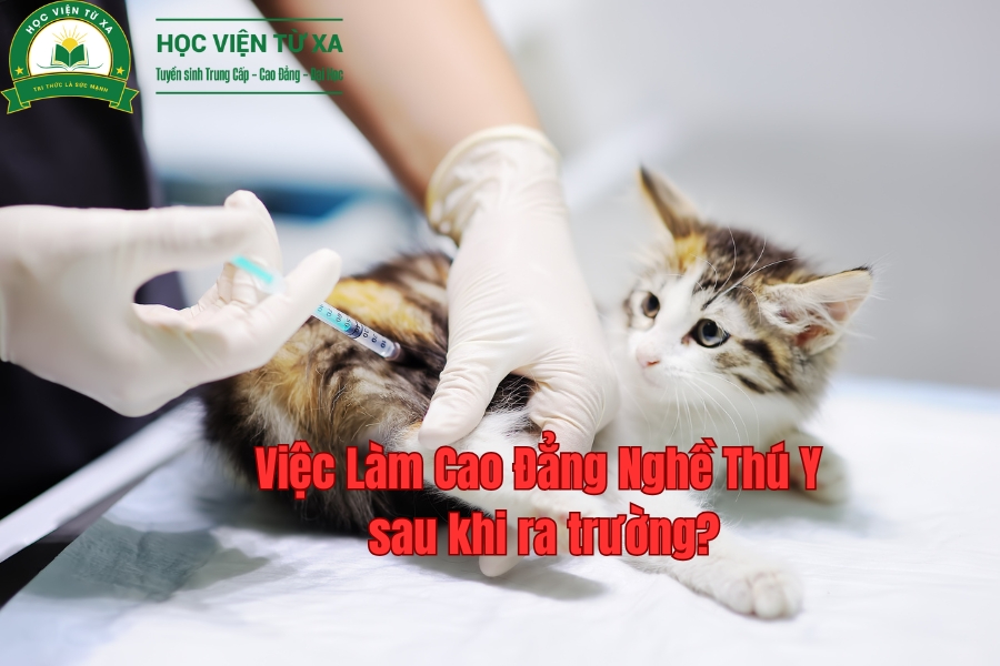 Việc Làm Cao Đẳng Nghề Thú Y sau khi ra trường?