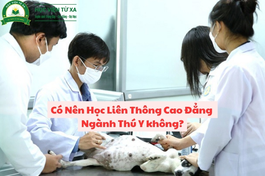 Có Nên Học Liên Thông Cao Đẳng Ngành Thú Y không?