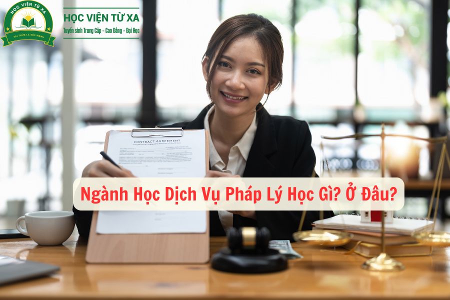 Ngành Học Dịch Vụ Pháp Lý Học Gì? Ở Đâu?