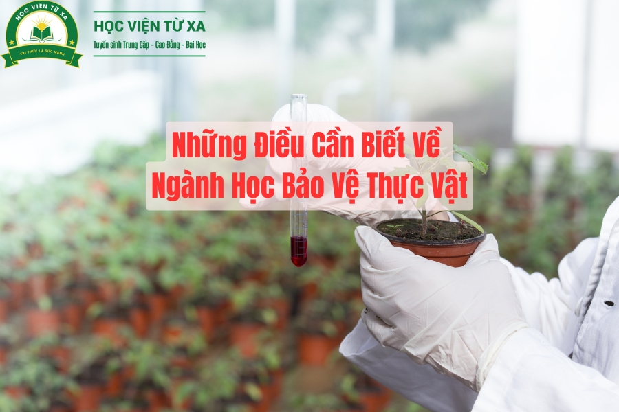 Những Điều Cần Biết Về Ngành Học Bảo Vệ Thực Vật