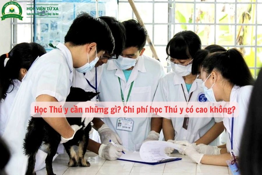 Học Thú y cần những gì? Chi phí học Thú y có cao không?