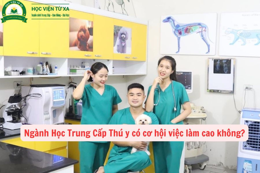 Ngành Học Trung Cấp Thú y có cơ hội việc làm cao không?