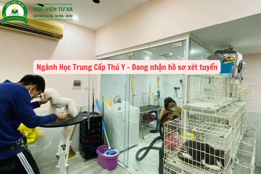 Ngành Học Trung Cấp Thú Y - Đang nhận hồ sơ xét tuyển