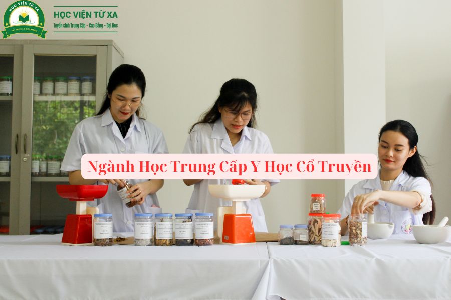 Ngành Học Trung Cấp Y Học Cổ Truyền - Đang nhận hồ sơ xét tuyển