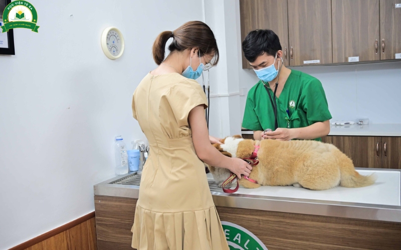 Thông báo xét tuyển học văn bằng 2 trung cấp Thú y