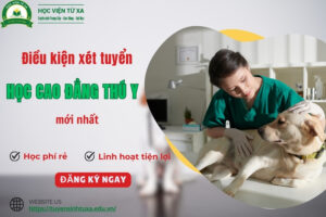 Điều kiện xét tuyển học Cao đẳng Thú y mới nhất