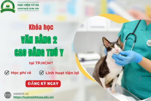 Khóa học Văn bằng 2 Cao đẳng Thú y tại TP.HCM?