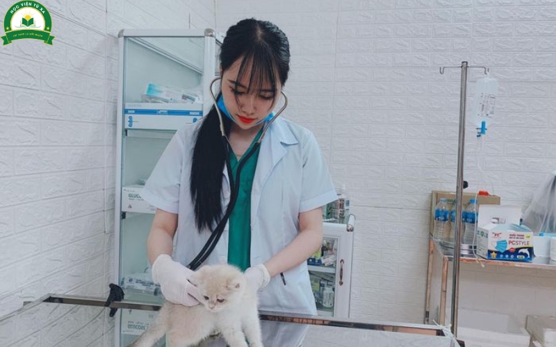 Văn bằng 2 trung cấp Thú y có giá trị không?