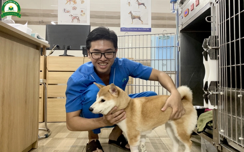 Có nên đăng ký học Trung cấp Thú y?