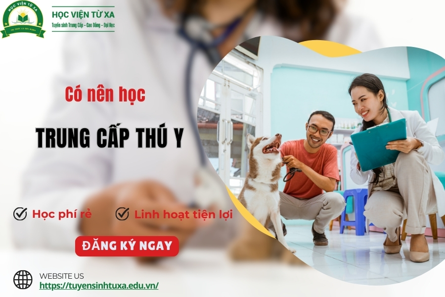 Có nên học Trung cấp Thú y không?