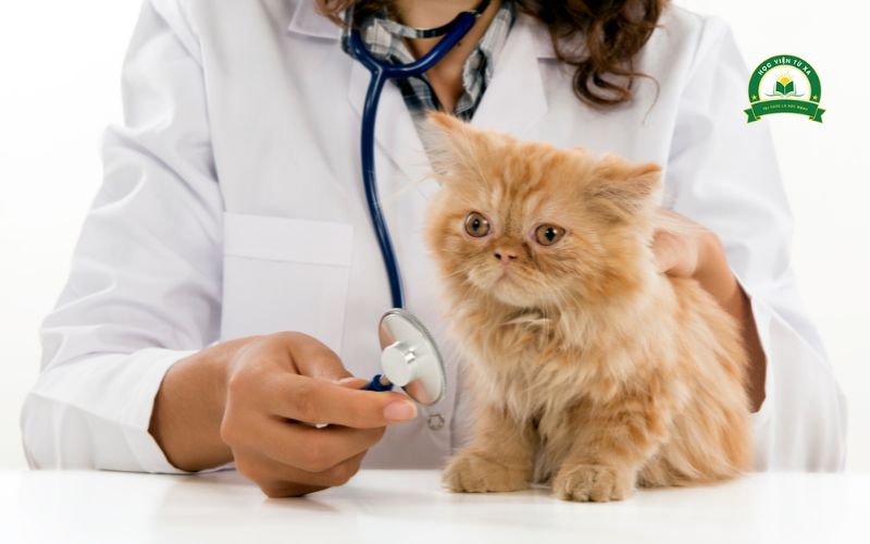 Mục tiêu đào tạo của Trung cấp Thú y chính quy
