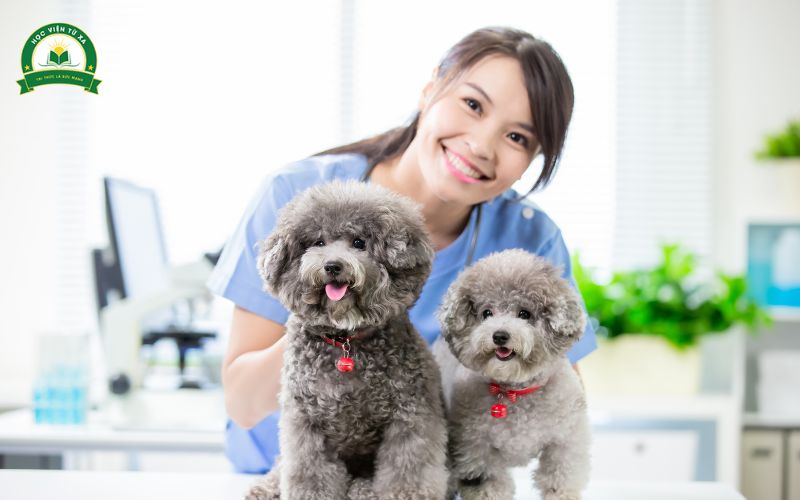 Trung cấp Thú y Từ xa học gì?