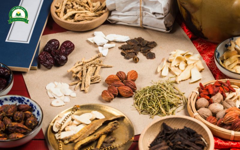 Trung cấp Y học cổ truyền chính quy