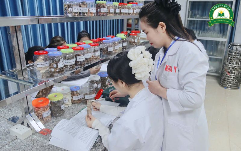Lớp học Cao đẳng Y học cổ truyền ra trường làm gì?