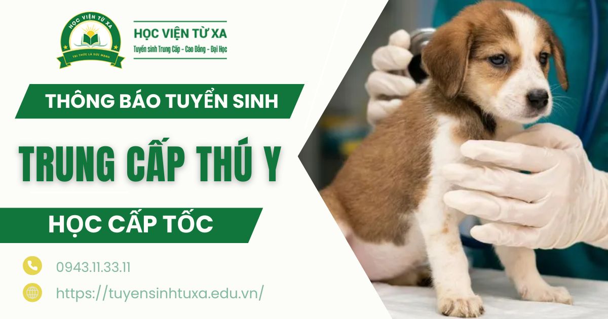 Thông báo tuyển sinh Trung cấp Thú y cấp tốc
