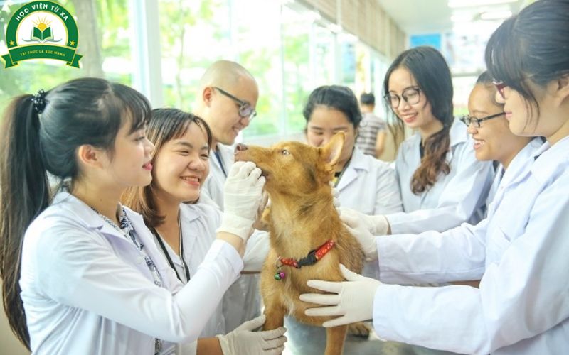 Tìm hiểu chung về khóa học Trung cấp nghề Thú y