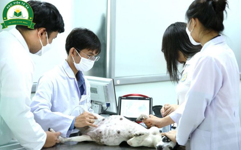 Trung cấp nghề Thú y