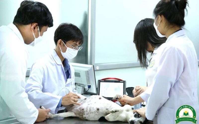 Hình thức xét tuyển lớp học Trung cấp ngành Thú Y