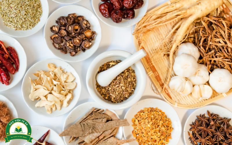 Học Trung cấp Y học cổ truyền