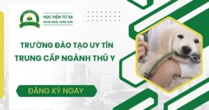 Trường đào tạo Trung cấp ngành Thú Y uy tín hiện nay 