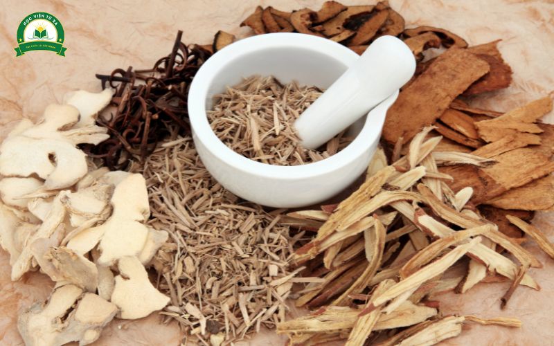 Tương lai nghề nghiệp ngành Trung cấp Y học cổ truyền