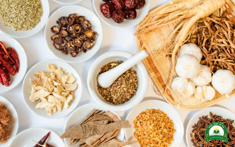 Học Trung cấp Y học cổ truyền Vừa học vừa làm có gì hay?