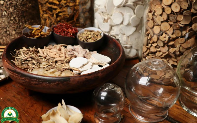 Học xong Trung cấp Y học cổ truyền Vừa học vừa làm ra làm gì, ở đâu?