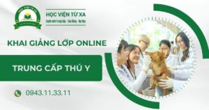 Khai giảng lớp học Trung cấp Thú y Online